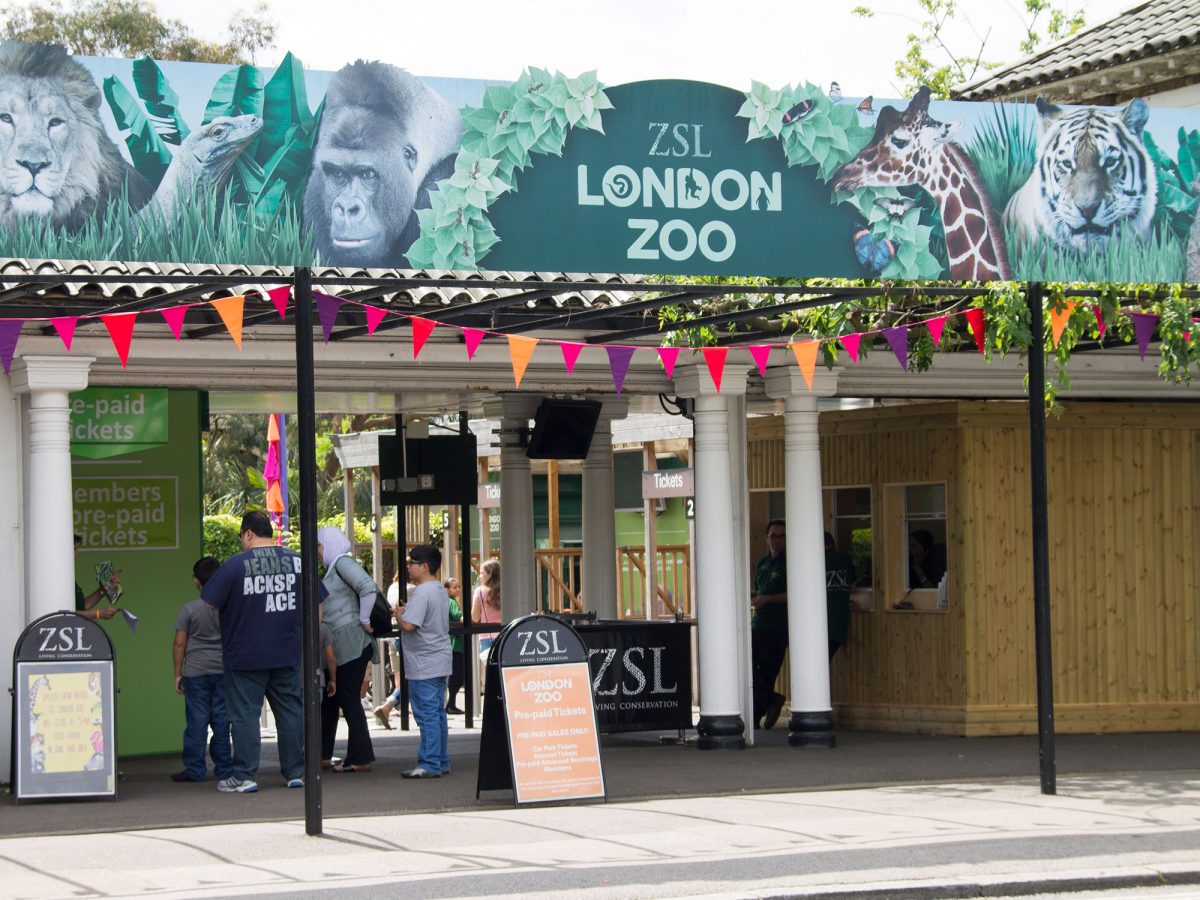 day trips to london zoo