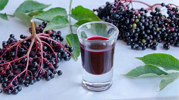 Health Benefits Of Elderberry