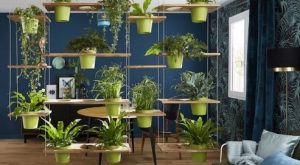 indoor gardens for apartments