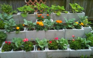 Cinder Block Garden Ideas