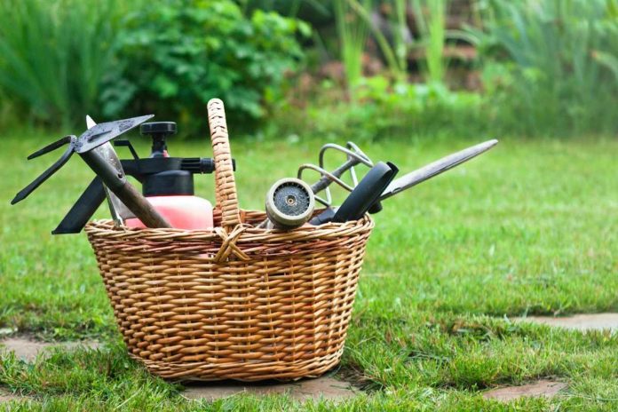 tools for removing weeds