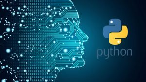 What do you need to know about the Python programming language?
