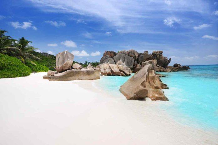 Seychelles: a Paradise Where Companies are Formed